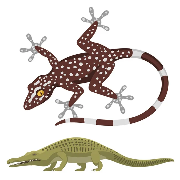 Plazů a obojživelníků pestré fauny vektorové ilustrace reptiloidních predátor plazi zvířata. — Stockový vektor