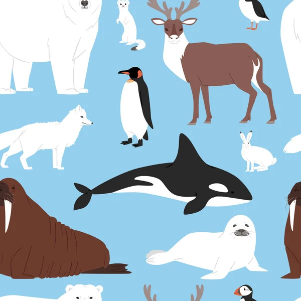 Animais do Ártico desenho animado vetor polar urso ou pinguim personagem coleção com rena de baleia e selo no inverno nevado antártica definir fundo padrão sem costura —  Vetores de Stock