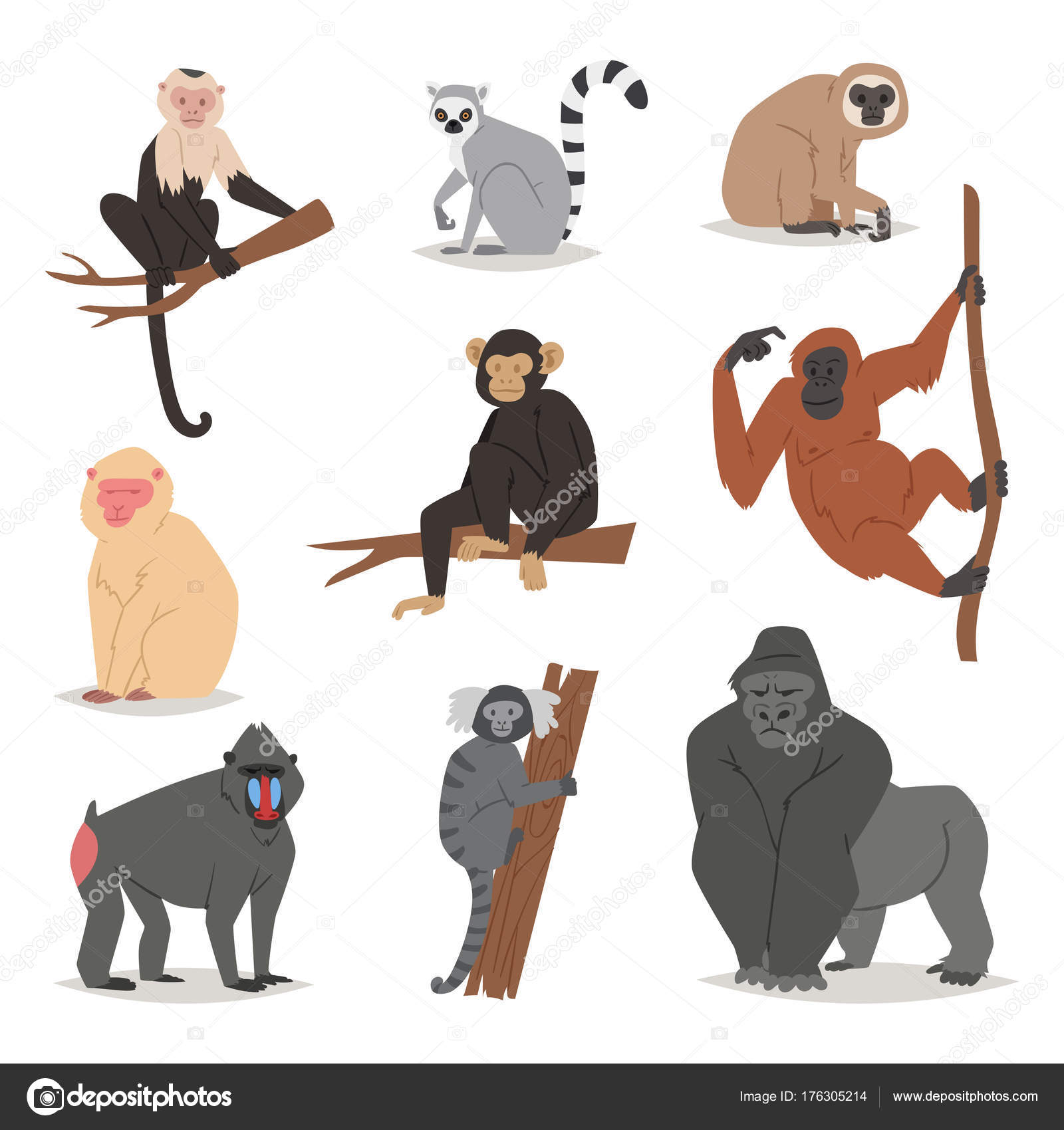 Monkey vector set cute animal macaque monkeyish cartoon character of  primate chimpanzee, gibbon and babbon monkeyshines illustration isolated on  white Stock Vector Image by ©VectorShow #176305214