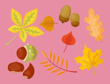 Sonbahar sarı akçaağaç yaprağı sezon doğa renk bitki yaprakları parlak dekorasyon tasarım doğal renkli düz vektör çizim.