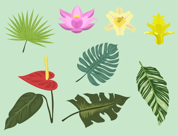 Hojas tropicales verano verde selva exótica hoja de palma naturaleza planta botánica hawaii flora vector ilustración . — Archivo Imágenes Vectoriales