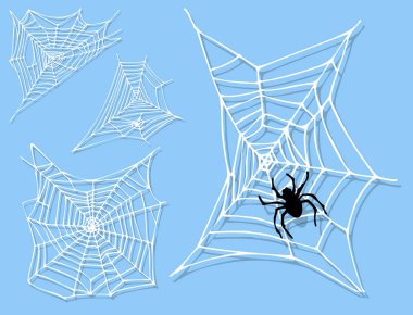 Örümcek web siluet Araknid korku grafik düz korkunç hayvan tasarım doğa böcek tehlike korku Cadılar Bayramı vektör simgesi.