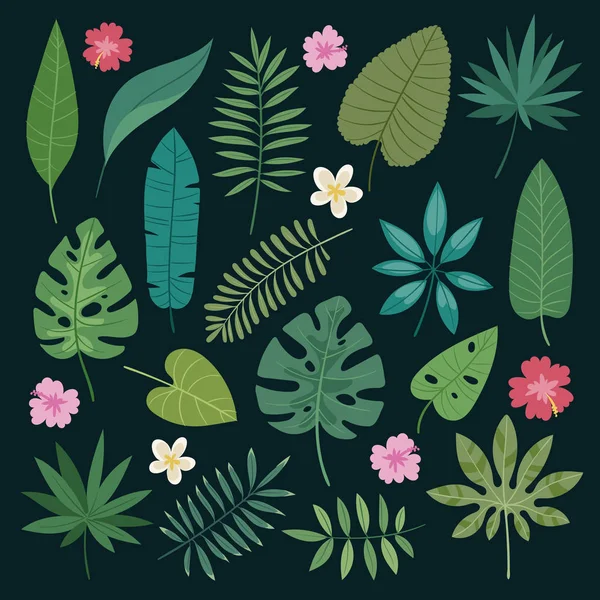 Tropical leaves flowers vector tropic hibiscus flowering plant and leaf foliage palm or banana tree in jungle exotic monstera and fern in summer isolated on background illustration — Stock Vector