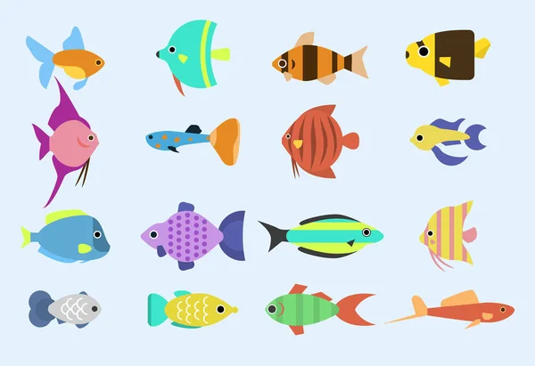 Peixes tropicais exóticos raça raça diferente cores oceano subaquática espécies aquáticas estirpe natureza plana ilustração em vetor. —  Vetores de Stock