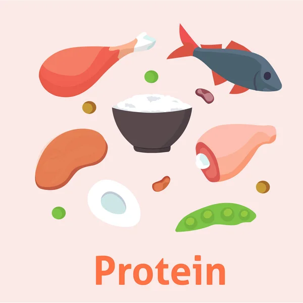 Продукты питания с высоким содержанием белка изолированные здоровые ингредиенты мясо и сырой группы питания здоровья векторной иллюстрации суперпродуктов — стоковый вектор