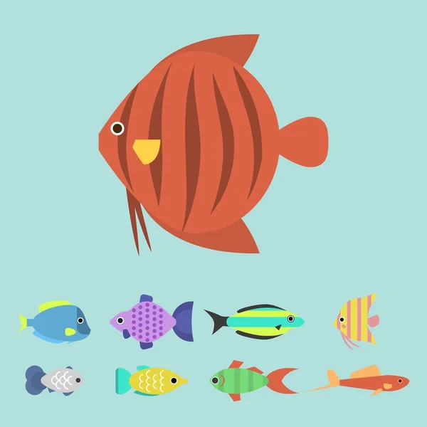 Exotische tropische Fische Rasse verschiedene Rassen Farben Unterwasser Ozeane Arten aquatische Stamm Natur flache Vektor Illustration. — Stockvektor