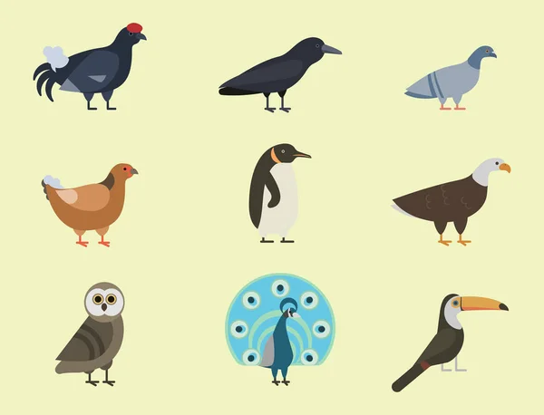 Colección de especies de aves ilustración vectorial diferente caracteres animales salvajes avifauna plumas tropicales mascotas — Archivo Imágenes Vectoriales