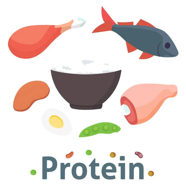 Продукты питания с высоким содержанием белка изолированные здоровые ингредиенты мясо и сырой группы питания здоровья векторной иллюстрации суперпродуктов — стоковый вектор