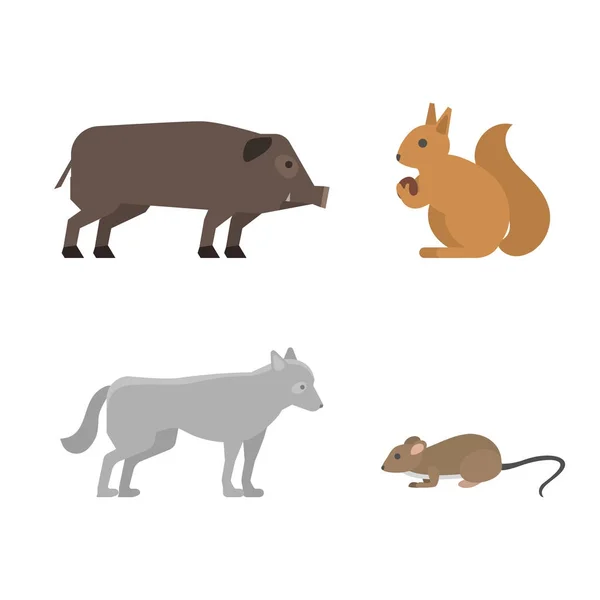 Diferentes animales salvajes vertebrados peligrosos caracteres caninos gran depredador vector ilustración . — Vector de stock