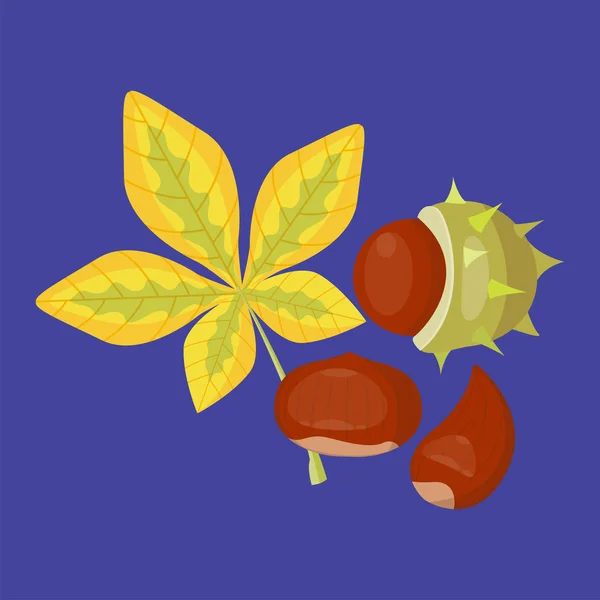 秋の黄色のカエデ葉シーズン自然色植物ベクトル図. — ストックベクタ