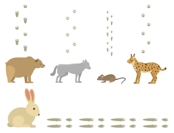 Huellas animales incluyen mamíferos y aves huella de pie traza vida silvestre pasos naturaleza salvaje silueta vector — Archivo Imágenes Vectoriales