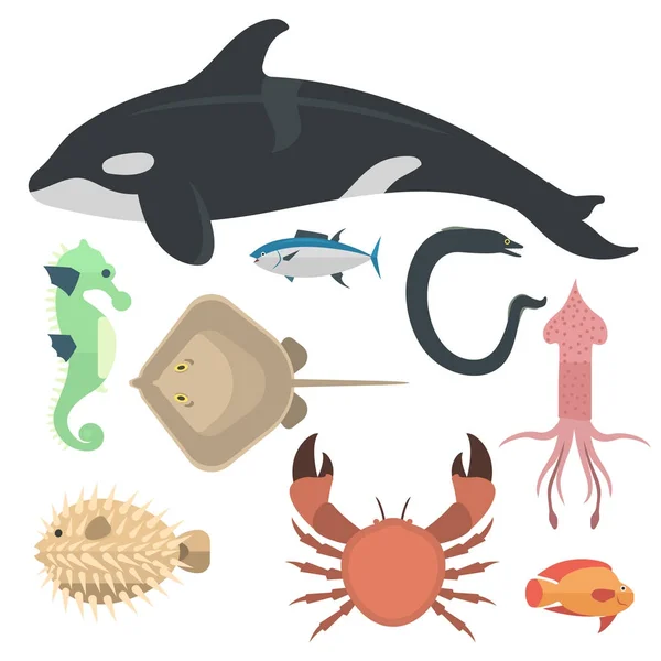 Vector havet djur varelser tecken cartoon ocean undervattensakvarium liv vatten grafisk vattenlevande tropiska bestar illustration — Stock vektor