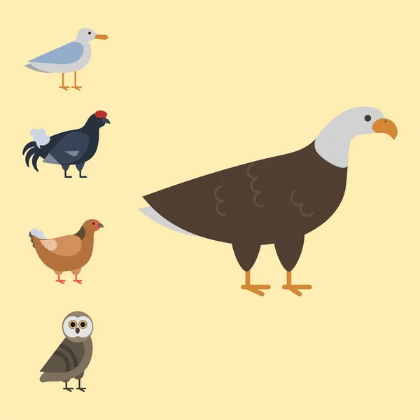 Colección de especies de aves ilustración vectorial diferente caracteres animales salvajes avifauna plumas tropicales mascotas — Vector de stock