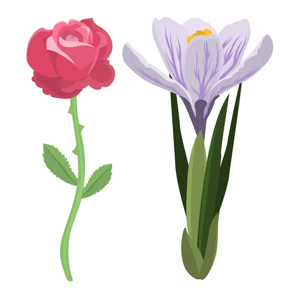 Krásný Jarní květina botanické bloom akvarelu letní větev petal dekorace kytice přírodní design vektorové ilustrace — Stockový vektor