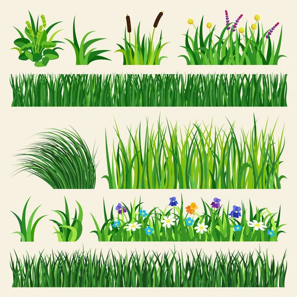 草の自然緑要素ベクトル図. — ストックベクタ