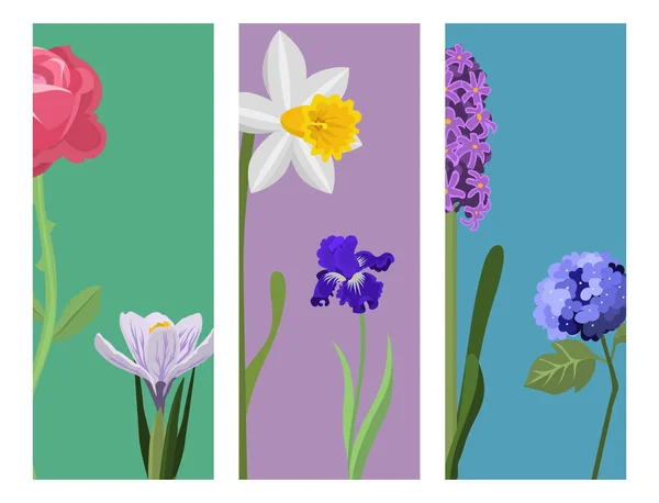 Hermosa flor de primavera botánica flor pintura tarjetas rama pétalo decoración ramo naturaleza diseño vector ilustración — Vector de stock