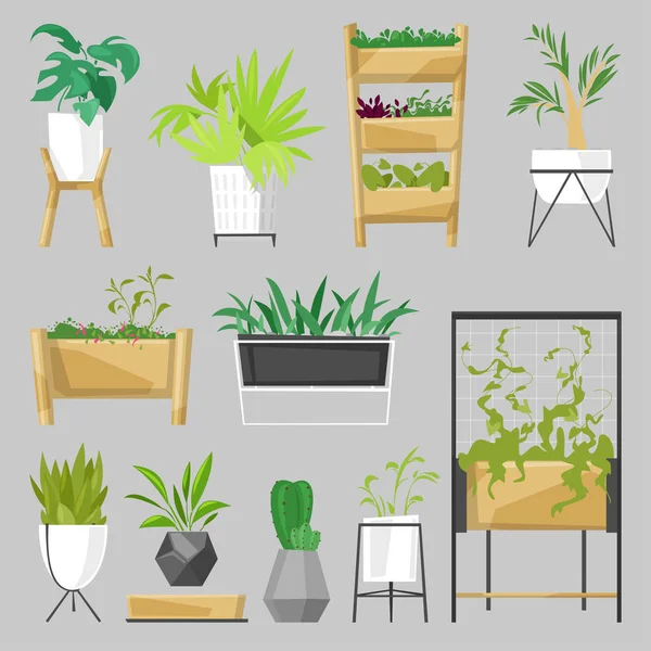 Planten in bloempotten vector ingegoten kamerplanten binnen botanic cactussen Aloë voor huis decoratie met bloemen collectie botanische tuin illustratie geïsoleerd op witte achtergrond — Stockvector