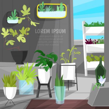 Bitki saksıları içinde saksı houseplants kapalı botanik kaktüsler aloe Botanik Bahçesi illüstrasyon izole beyaz arka plan üzerinde çiçek koleksiyonu ile ev iç dekorasyon için vektör