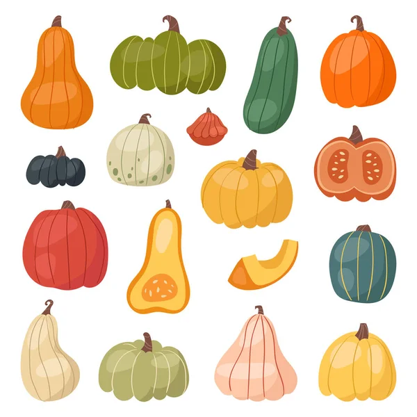 Fresh pumpkin decorative seasonal ripe food organic healthy vegetarian vegetable vector — Stock Vector