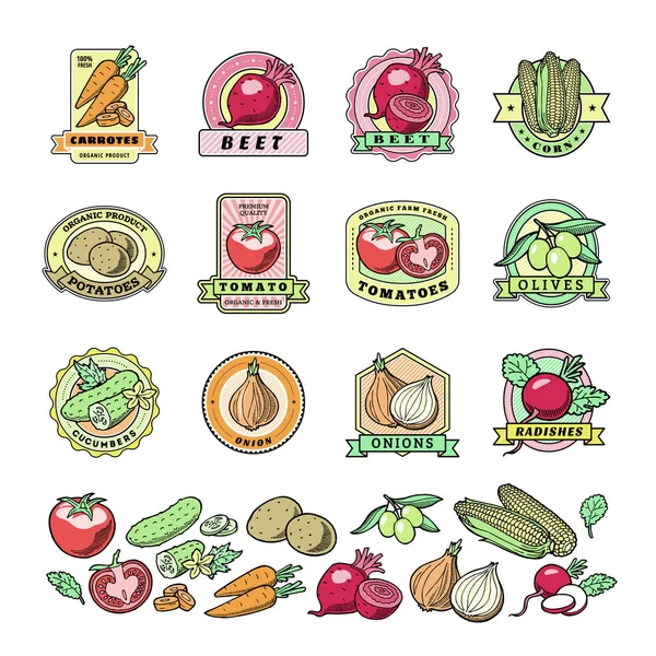 Logo sayuran Vektor sehat tomat logotype dan wortel untuk vegetarian makanan organik di toko kelontong Ilustrasi lencana vegetated ditetapkan terisolasi pada latar belakang putih - Stok Vektor