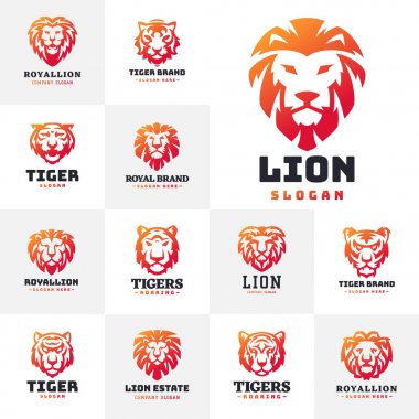 Aslan ve kaplan logo rozet gücü yırtıcı güç yaban kedisi vektör çizim yüz.