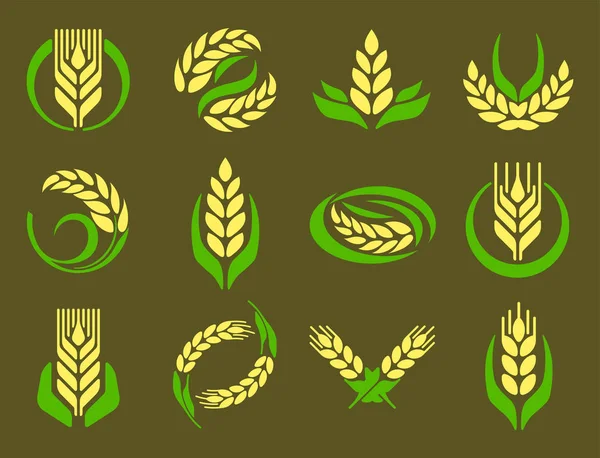 Orejas de cereales y granos agricultura industria o logotipo insignia diseño vector alimentación ilustración orgánica símbolo natural — Archivo Imágenes Vectoriales