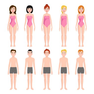 Farklı vücut şekli vektör çizim güzellik şekil karikatür modeli ayakta karakter türleri.