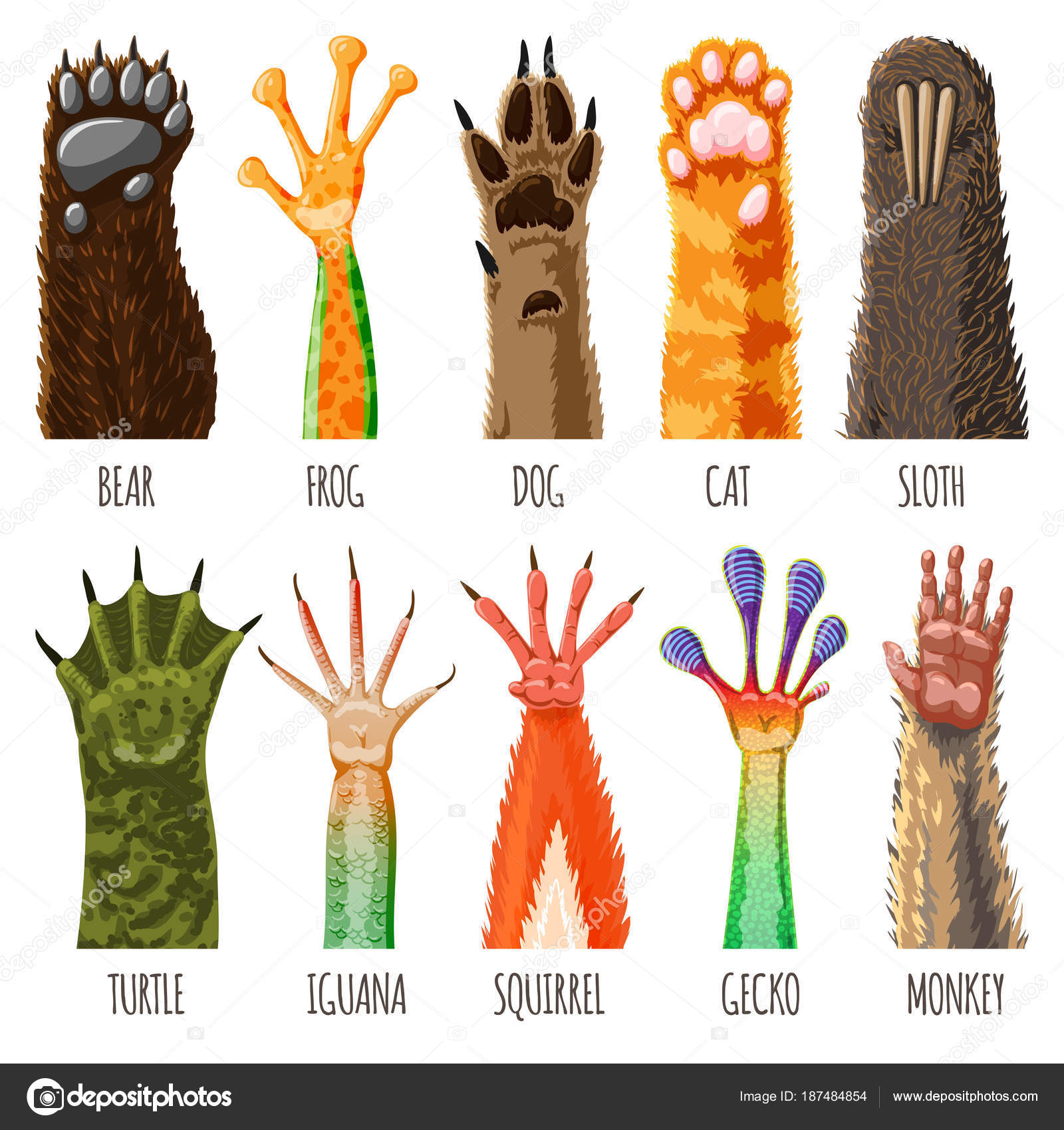 Animal paw vector animalistic pets claw or hand of cat or dog and pawed