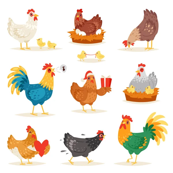 Pollo vector de dibujos animados pollo carácter gallina y gallo en el amor con pollos bebé o gallina sentado en huevos en gallinero ilustración conjunto de aves domésticas en gallinero aislado sobre fondo blanco — Vector de stock