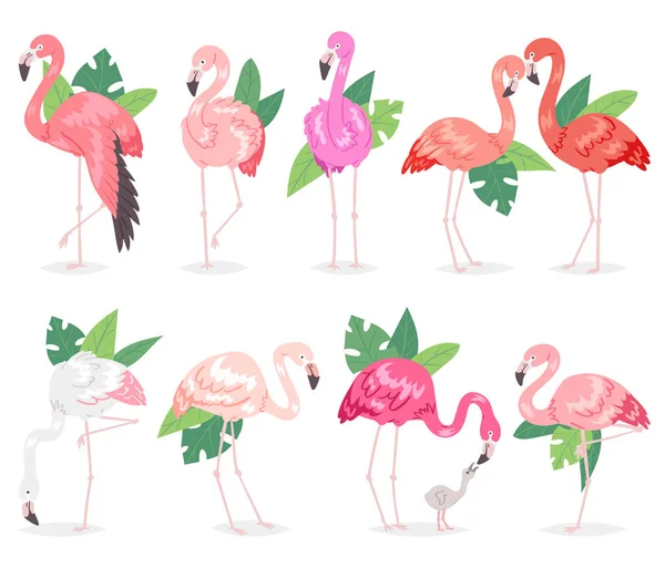 Fenicottero vettore tropicale rosa fenicotteri e uccelli esotici con foglie di palma illustrazione set di uccelli di moda in tropici isolati su sfondo bianco — Vettoriale Stock