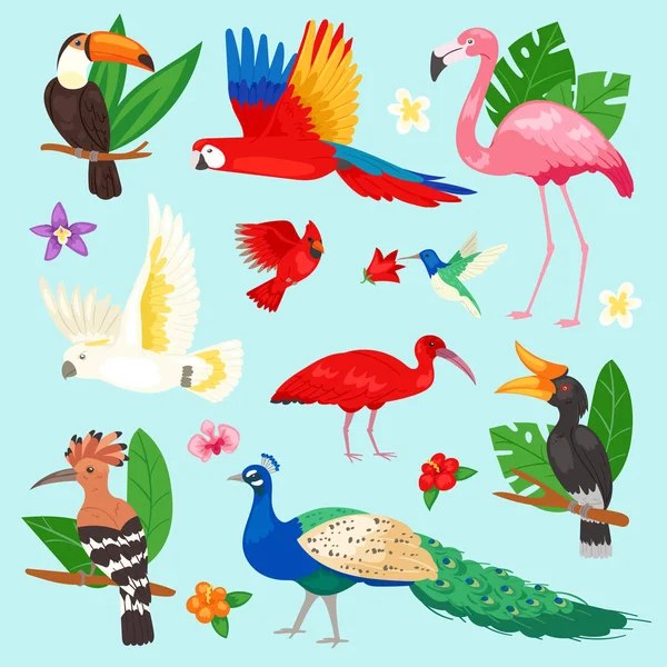 Tropical birds vector exotic parrot or flamingo and peacock with palm leaves illustration set of fashion birdie ibis or hornbill in flowering tropics isolated on background — Stock Vector