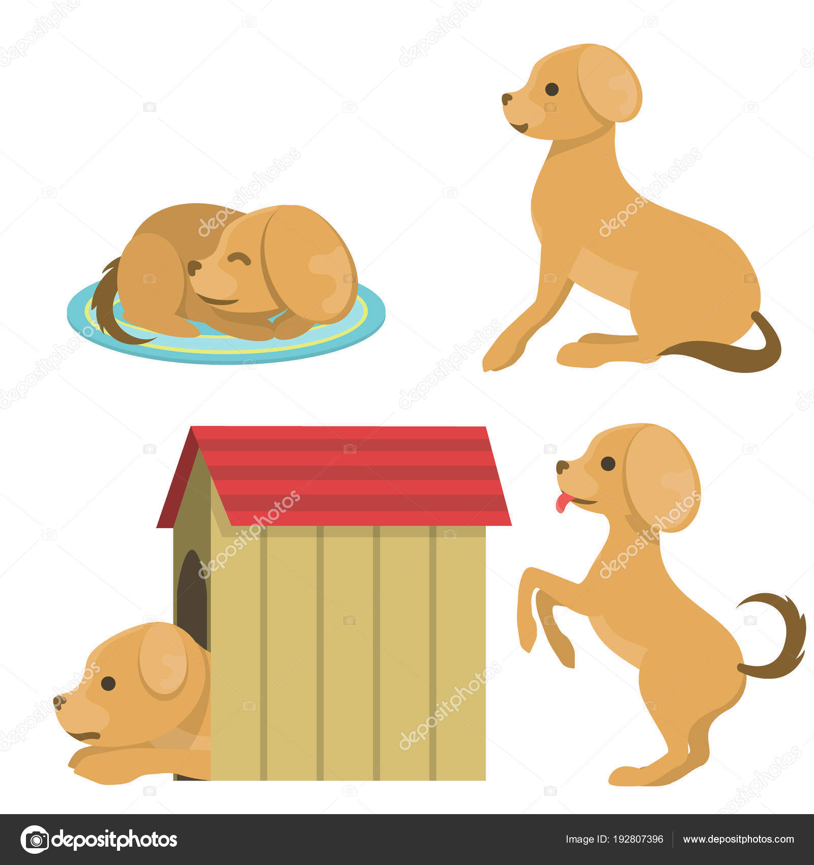 Mignon Jouer Chien Caractère Chiot Pure Race Drôle Comique