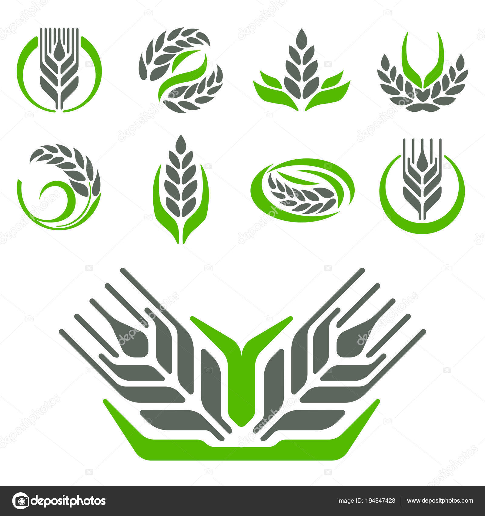 穀物耳と穀物農業業界やロゴ バッジ デザイン ベクトル食品イラスト有機自然のシンボル ストックベクター ©VectorShow 194847428, image size:1600x1700