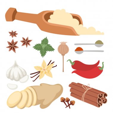 Baharat otlar doğal sağlıklı baharat baharat organik sebze vektör bileşen.