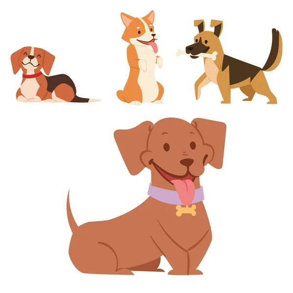 Puppy cute playing dogs characters funny purebred comic happy mammal doggy breed vector illustration. — Stock Vector