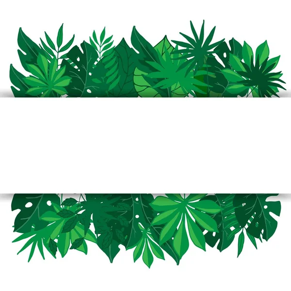 Bandeira de folhas de palma tropical, ilustração vetorial. Folhagem exótica verde com folhas de palma e espaço em branco para texto. Modelo de selva para banners . — Vetor de Stock