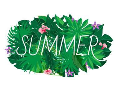 Yaz, vektör illüstrasyonunu bırakır. Egzotik palmiye yaprakları, çiçekler, orman yaprakları. Güzel tropikal yaz yaprakları satılık..