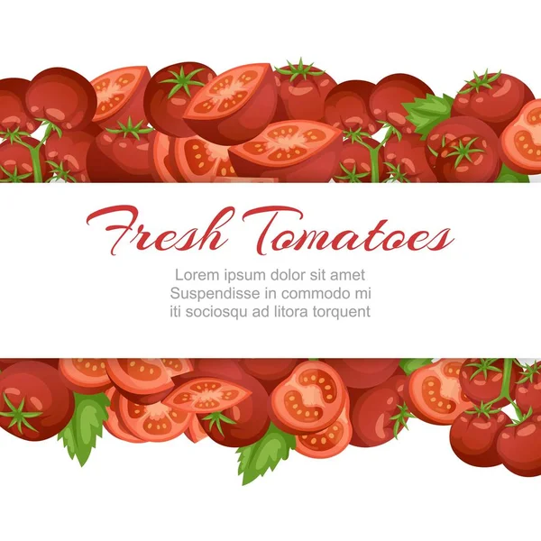 Tomato fresh farm vegetables cartoon vector illustration with isolated tomatoe, sliced piece vegetables on branch. — 스톡 벡터