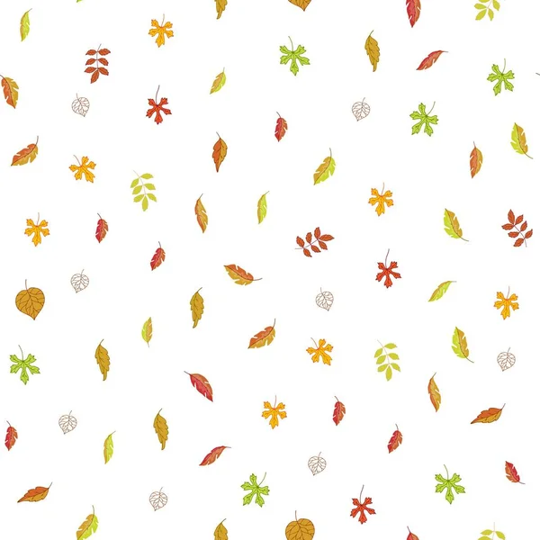 Herfst laat naadloze vector patroon. Cartoon illustratie van verschillende geaderde bladeren geïsoleerd op witte achtergrond. — Stockvector