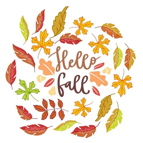 Olá outono cartaz de outono com bétula de outono brilhante, ulmeiro, carvalho, rowan e folhas de bordo isolado na ilustração do vetor de fundo branco . — Vetor de Stock