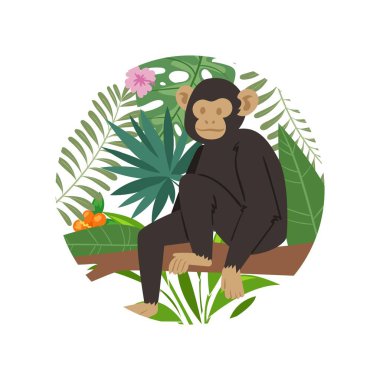 Palmiye canavarlı tropikal ağaçtaki maymun marmoset vektör illüstrasyonunu bırakır. Orman egzotik hayvan maymunu çiçekli arka planda beyaz renkte izole edilmiş..