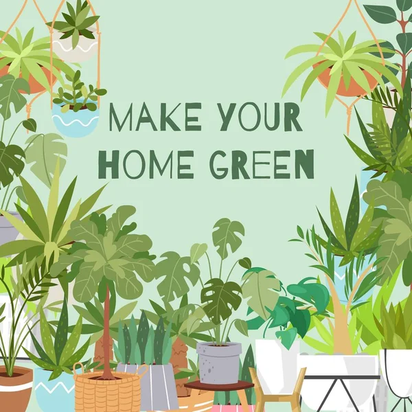 Haga su hogar plantas verdes vector cartel ilustración. Plantas, cactus, suculentas monstera para el jardín y la decoración del hogar. Diseño minimalista. Fondo de plantas de hogar verde . — Vector de stock