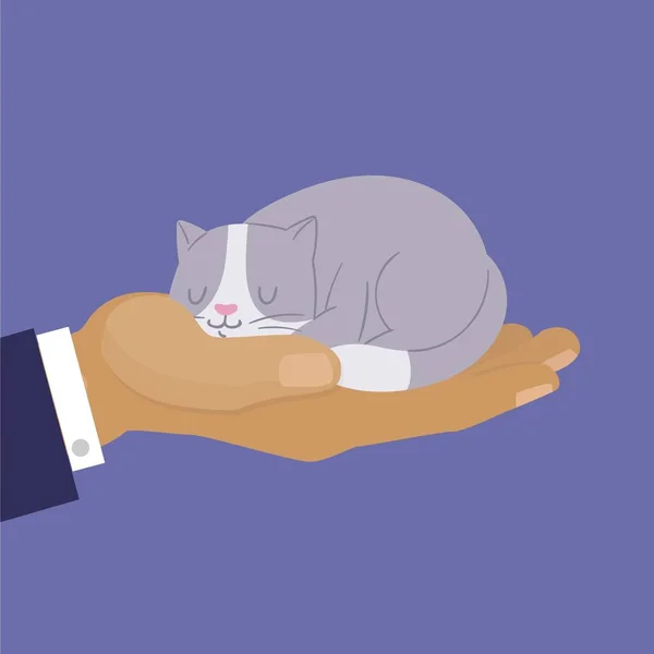 Cute cat, cartoon kitten dreaming on human hand vector illustration. Grey and white kitty on mans hand. Home pets for sale shop banner. — Stock Vector