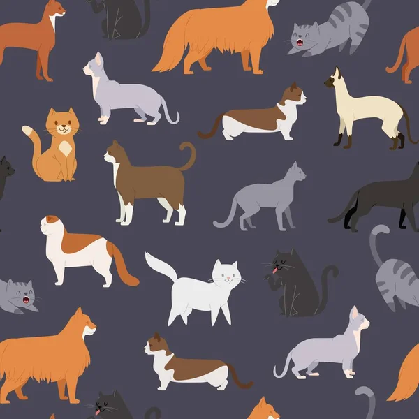 Cute cats of different breeds in various poses vector seamless pattern illustration. Cartoon kitten standing and sitting. Kitty and cats print backdrop. — Stock Vector