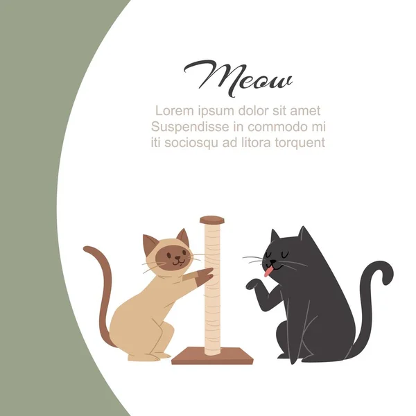 Funny cartoon cats scratching claw sharpener and licking paws with mňau typography vector illustration. — Stockový vektor
