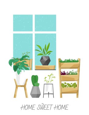 İskandinav tarzı vektör düz resimli ev bitkileri. Bitkiler, kaktüsler, ev ve ofis bahçesi ve dekorasyon için sulu bitkiler. Minimalist tasarım. Evim güzel evim.