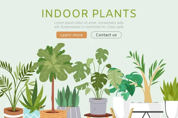 Indoor plants vector web template illustration. Plants, cactus, monstera succulents for home and office garden and decoration. Minimalistic design. Indoor plants website or landing. — Stock Vector