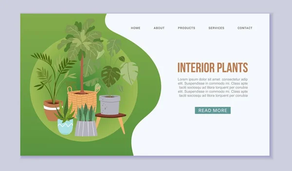 Plantas de interior em estilo escandinavo modelo de site vetorial. Plantas de interior em vasos para casa e escritório jardim e decoração página web. Design de interiores minimalista . — Vetor de Stock