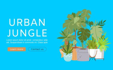 Urban Jungle vektör şablonu. Moda ev dekorasyonu, saksılarda tropikal bitkiler. Ev bitkileri, egzotik muz ve palmiye yaprakları, kentsel ormanlar.