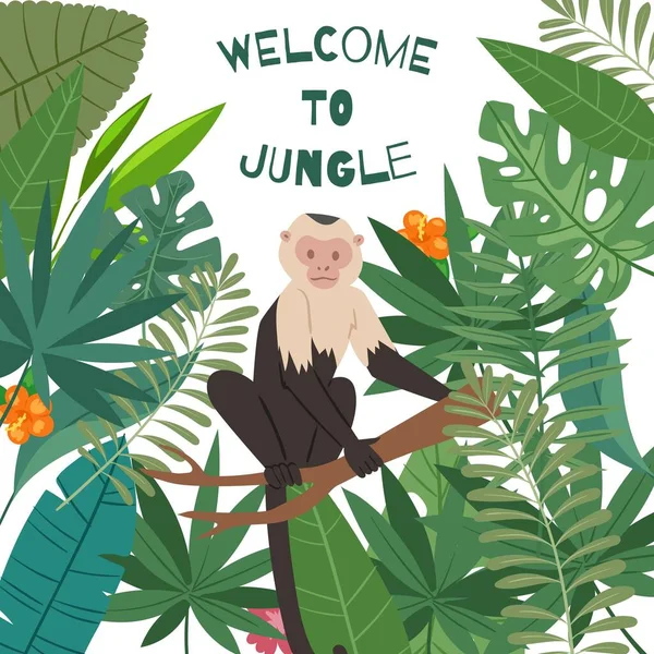 Monkey white headed capuchin in jungles leaves frame vector illustration. Welcome to jungle, palm leaves with exotic jungle monkey or ape for summer sale banner or poster. — 스톡 벡터